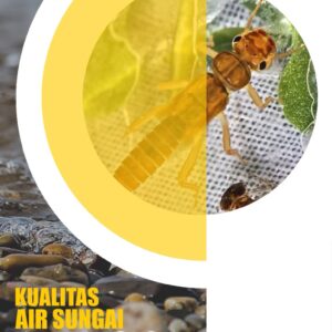 Kualitas Air Sungai Berbasis Makrozoobentos